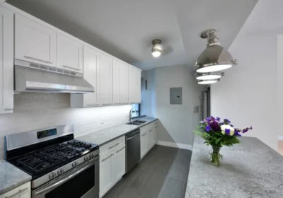 1.-Main-Thumbnail-SN4_9208-590x394