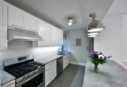 1.-Main-Thumbnail-SN4_9208-590x394